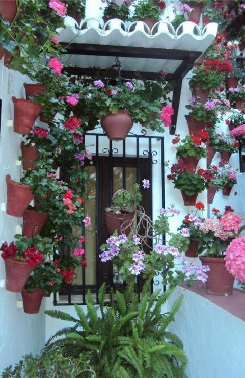 Hostal Los Claveles バエナ エクステリア 写真